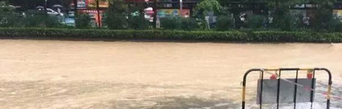 廣東一天三起疑觸電身亡事件，市電路燈安全隱患值得思考