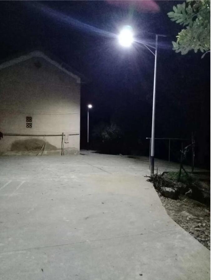 晴空排云雁高飛，源碼項目掀熱潮