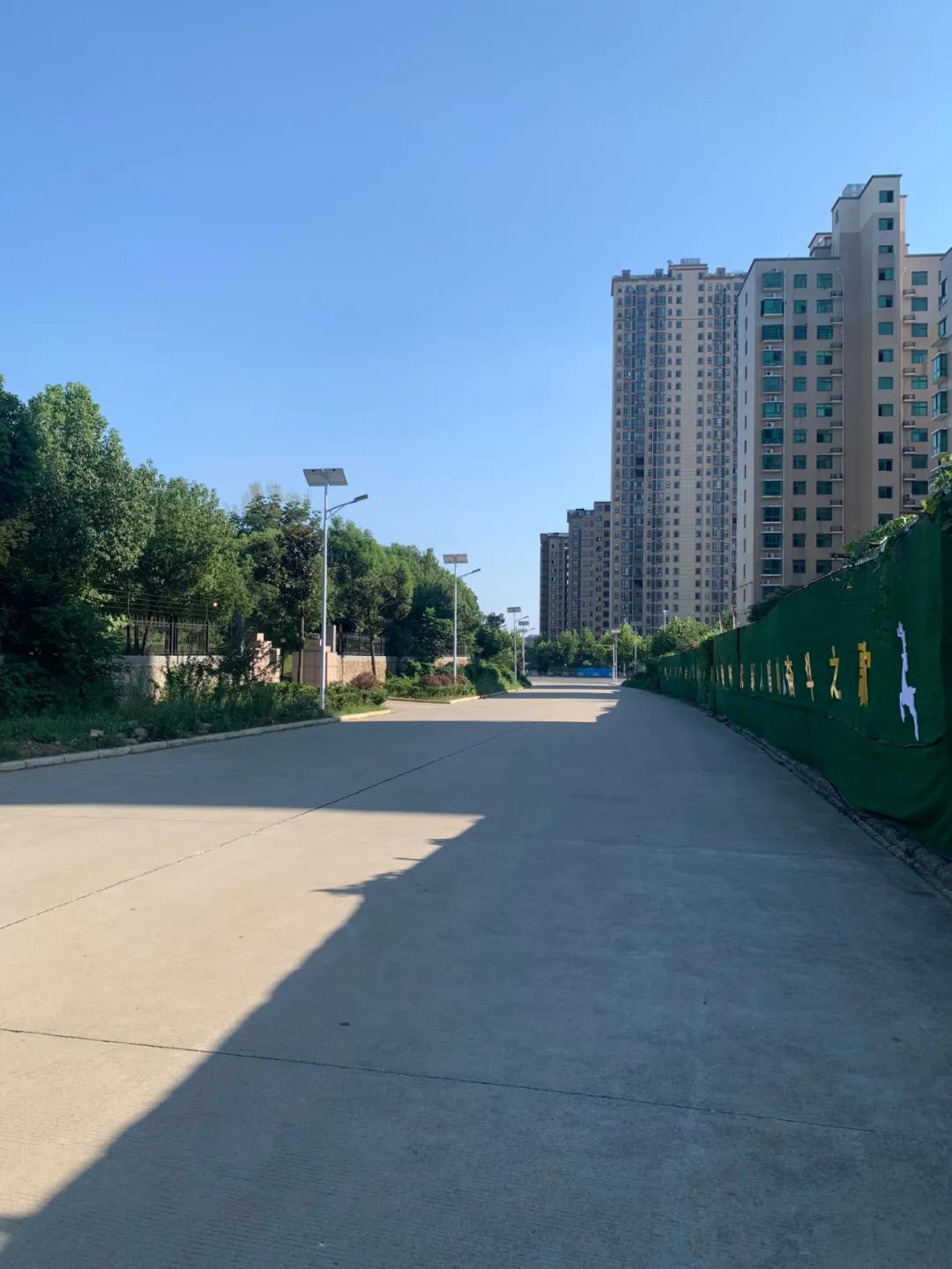 云鵬燈〡九萬里風(fēng)安稅駕，云鵬今悔不卑飛