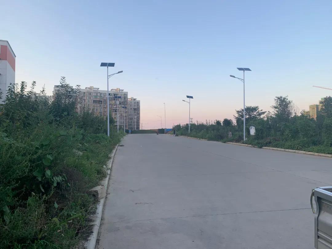 云鵬燈〡九萬里風(fēng)安稅駕，云鵬今悔不卑飛