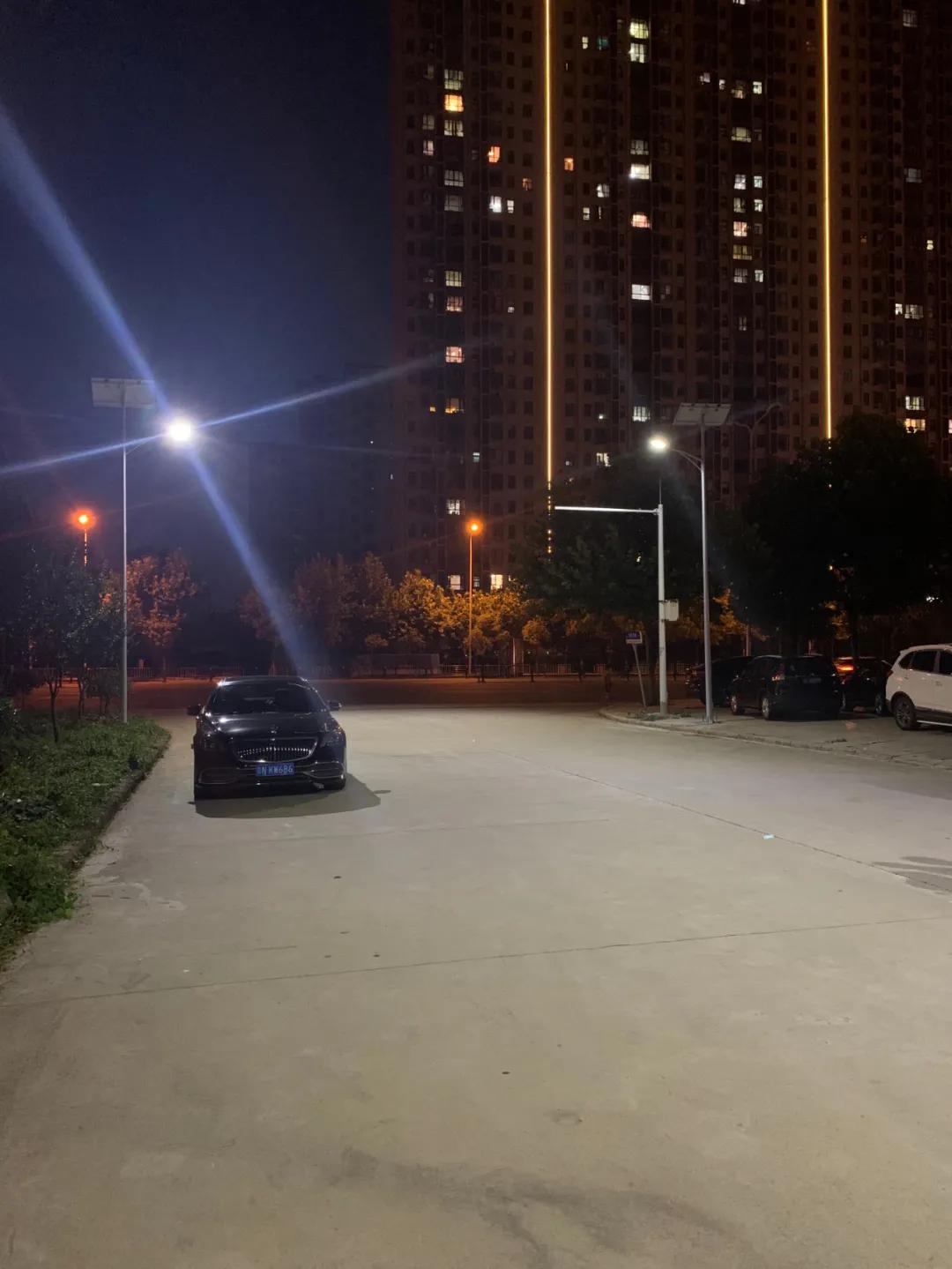 云鵬燈〡九萬里風(fēng)安稅駕，云鵬今悔不卑飛