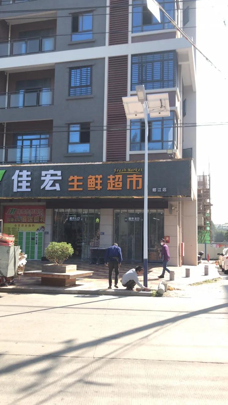 云鵬燈〡九萬里風(fēng)安稅駕，云鵬今悔不卑飛